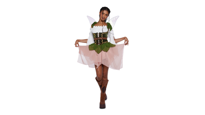 Fairy Halloween Costumes for Women