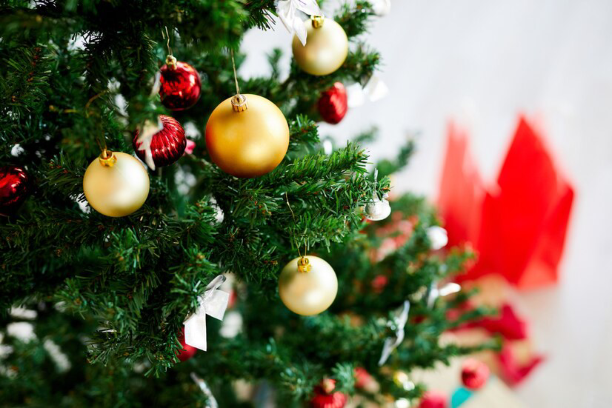 Preparing Christmas Ornaments to Decorate Christmas Tree